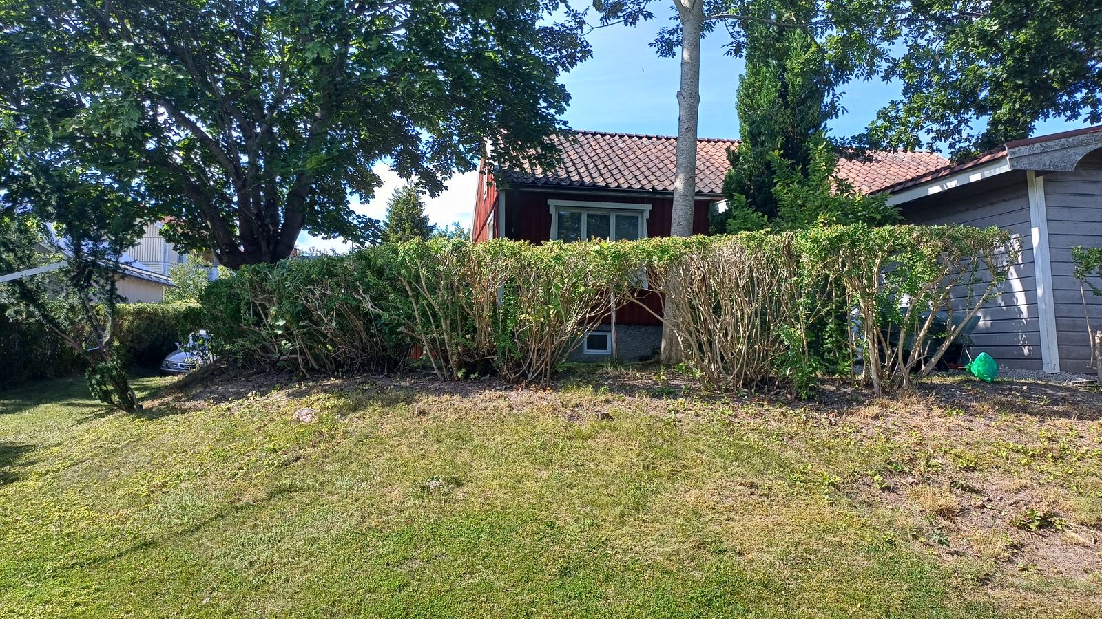 Häck vid hus efter klippning